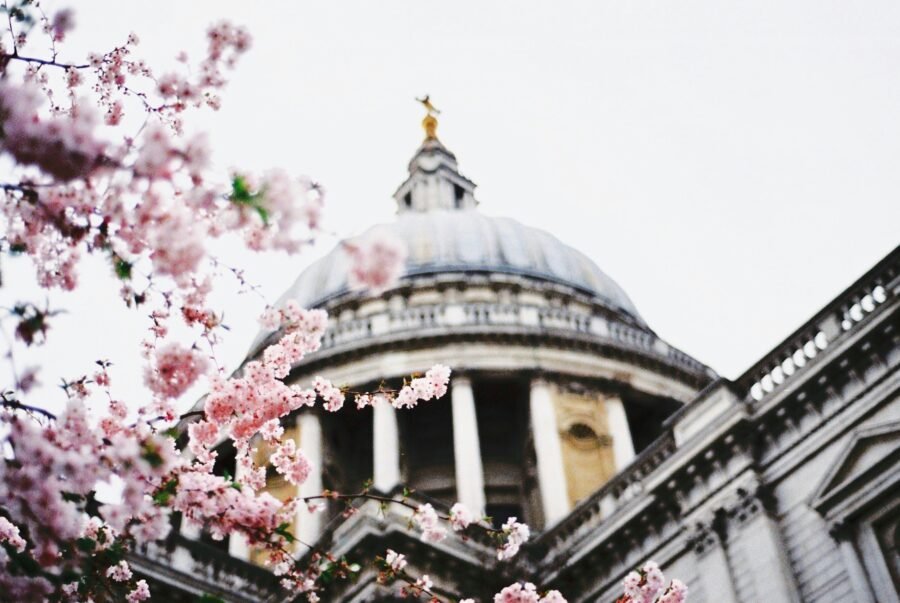 🌸 April in London: Discover Wood Street’s Hidden Gem – Karya Café and Bistro